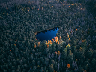 Zlate Hory, 4.10.2026, Czech Republic, Drone view of Velké Mechové jezero in Rejvíz Nature Reserve near Zlaté Hory, Czech Republic, surrounded by dense autumn woodland and colorful foliage © Bartomiej