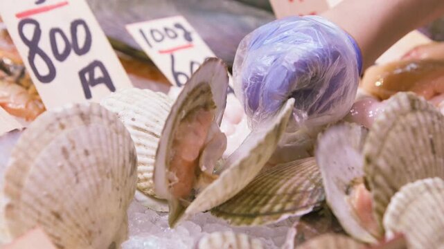 In slow motion, gloved hands lift and rearrange ribbed scallop shells over crushed ice at a seafood counter, opening the shells to show flesh before moving portions away from the chilled display.