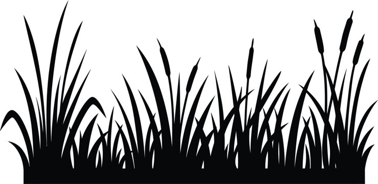 Cattail grass silhouette vector. Marsh reeds vector icon
