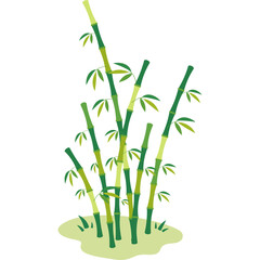 Obraz premium Bamboo Vector Illustration
