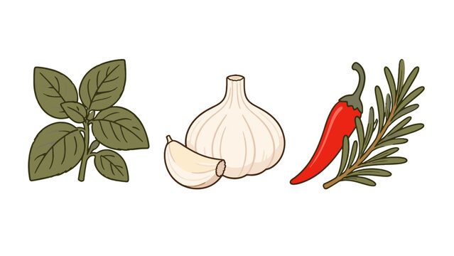 Hand drawn set of basil garlic chili pepper and rosemary