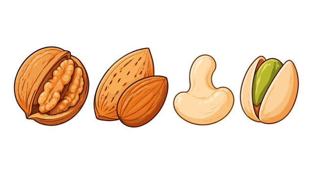 Hand drawn set of walnut almond cashew and pistachio nuts