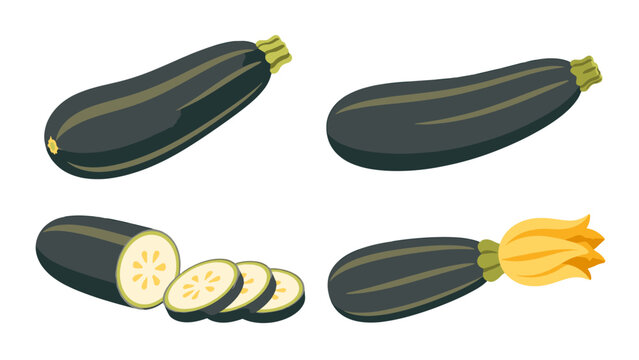 Whole and sliced zucchini with yellow blossom