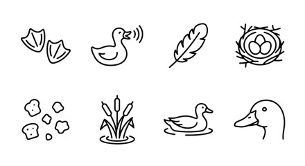 Obraz premium Duck line icon set with footprints, nest, feather and reeds for nature and wildlife apps