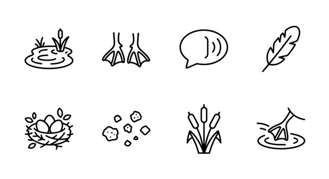 Duck icons set with pond, webbed feet, speech bubble, feather, nest with eggs, stones and reeds for nature apps