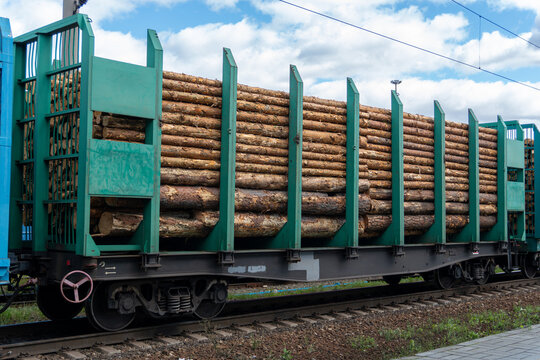 Railway flatcar loaded with pine logs timber freight train