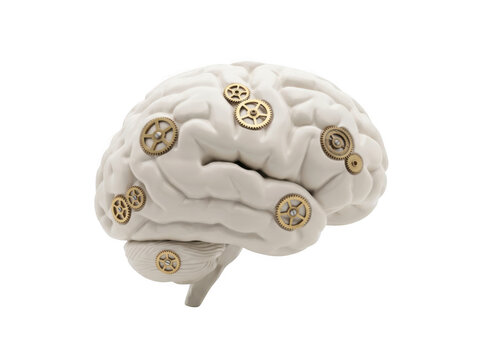 Human brain model decorated with small metallic gears as isolated on transparent background