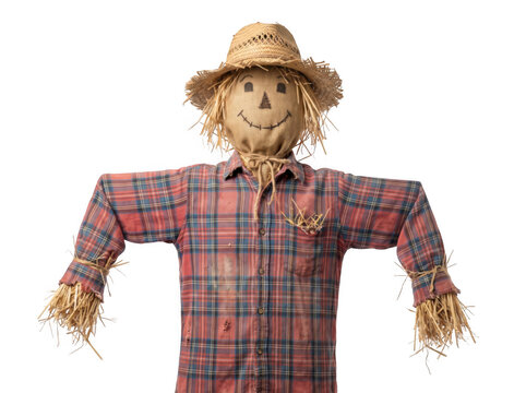 Traditional scarecrow wearing a plaid shirt and straw hat as isolated on transparent background