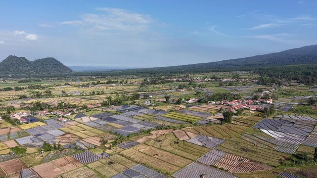 Aerial view of rural farmland with distant mountains. Clear sky above scattered fields at Teras Semeru