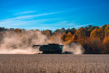 Fototapeta premium Combine harvester in a wheat field. Harvesting on rural farm. Farming machinery. Agricultural machine at work. Rural landscape with a combine harvester. Farming equipment. Ploughing and cultivation.