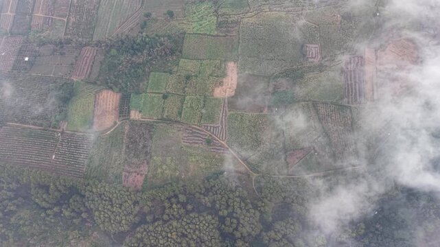 Low clouds drift over patchy farmland. Fields show rows and soil variations at Lawang