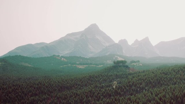 Majestic mountains tower over vast green forests, creating a serene landscape. Wisps of clouds drift lazily across the sky, casting gentle shadows on the wilderness.