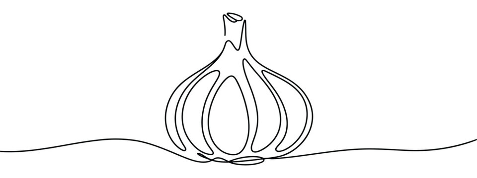 Minimalist black and white single line of a garlic bulb with continuous stroke