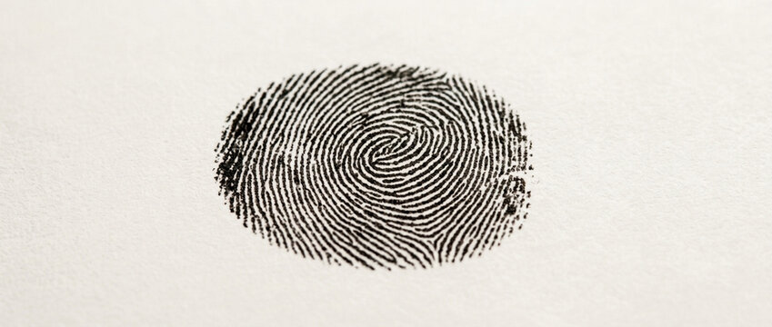 Close up of a human fingerprint intricate spiral pattern biometric identification concept stark contrast on textured paper