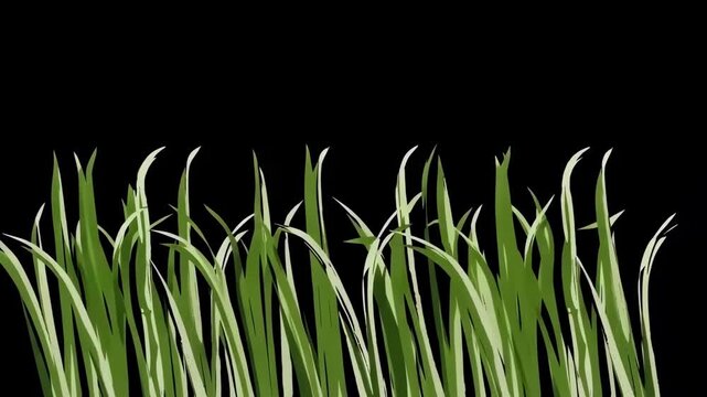 Hand drawn 2D animation of green grass blades swaying in the wind isolated on black background.