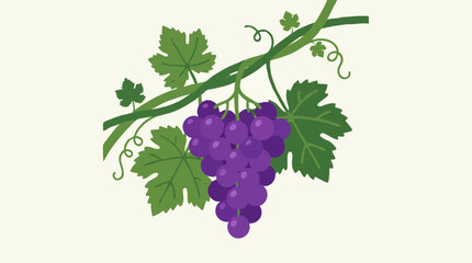 Naklejka premium Bunch of glossy purple grapes hanging from a twisting green vine with jagged lobed leaves and curly tendrils on a plain cream ground, simple vector clipart for wine labels and fruit designs