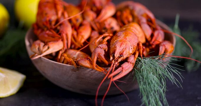 Red boiled crayfish with a round slice of yellow lemon, a group of hot boiled crayfish with herbs and lemon on a dark surface
