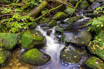 water flowing over rocks © Liz