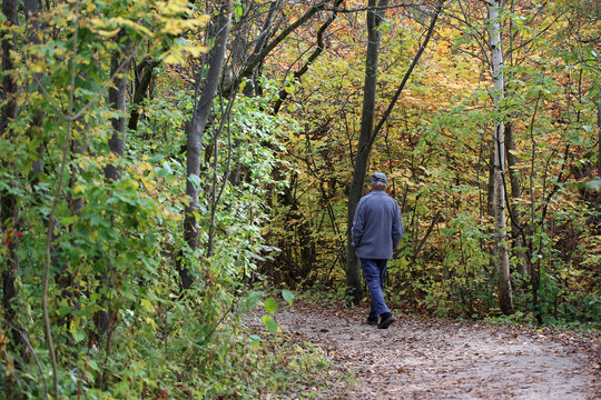 Un homme marche dans le bois en automne