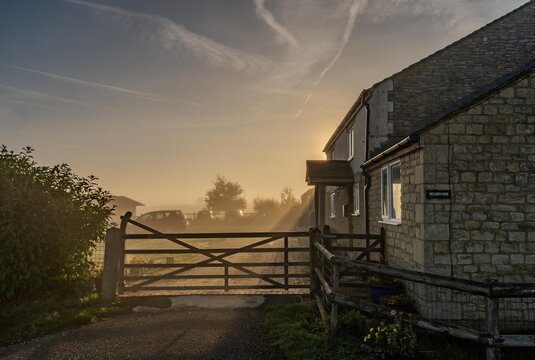 early morning misty walk with the dog
