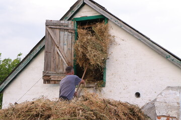 Farmer loading bundle of dry hay with pitchfork into attic storage of white building © Iana Andrushchenko