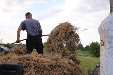 Farmer pitching dry hay bundle using pitchfork from wagon in rural countryside © Iana Andrushchenko