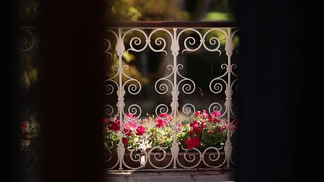 Close-up of an ornate white wrought-iron balcony railing with scrollwork, framed by shadow, overlooking pink geraniums in a terracotta planter and golden autumn foliage.