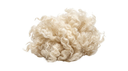 Natural Raw Sheep Wool Fiber, Soft Unspun Curly Fleece Tuft, Organic Material for Textile Craft and Knitting isolated PNG with Transparent Background © Moazzam