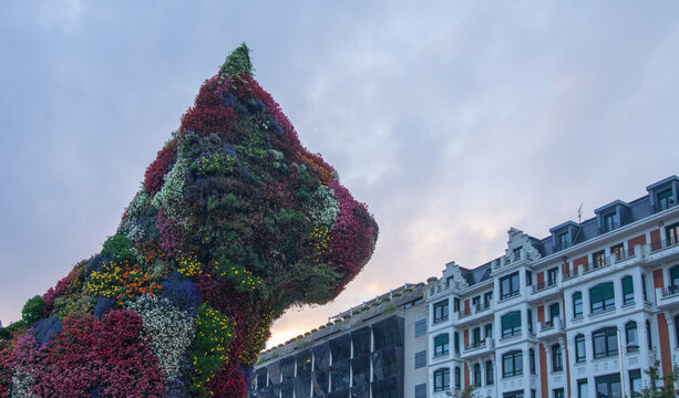Bilbao, Pa&iacute;s Vasco. 13 de Septiembre 2023. Vista de perfil de la escultura floral Puppy frente al entorno urbano de Bilbao.
