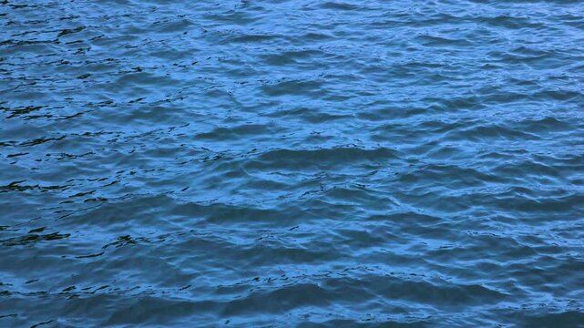 Small waves in Lake Neusiedl, Podersdorf, Burgenland, Austria