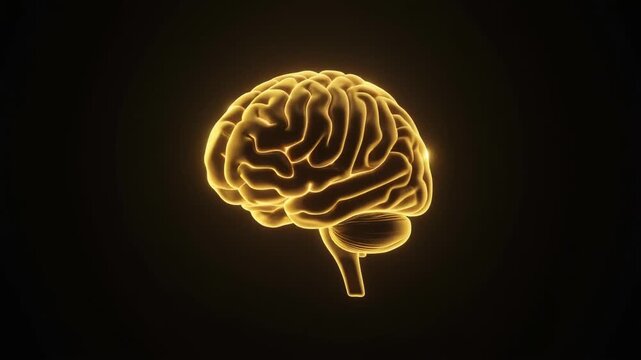 Translucent holographic AI brain structure with active neural connections