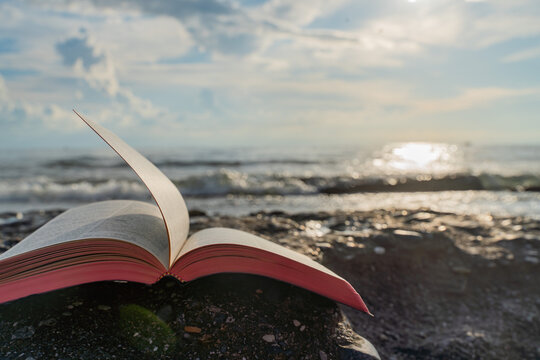 Open Bible Book with Fluttering Pages on Rocky Beach at Sunset