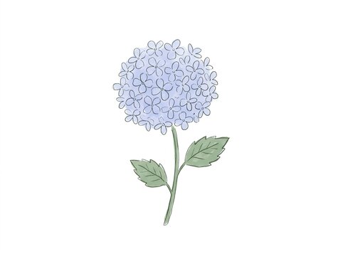 Purple hydrangea flower with stem illustration isolated on white background