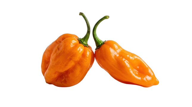 Two vibrant orange habanero peppers with green stems, isolated on transparent background