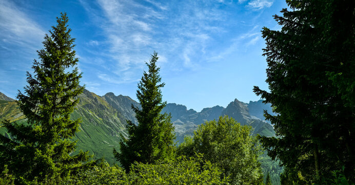 Koscielec and other Tatra peaks framed by spruce trees on way to Hala Gasienicowa in Poland