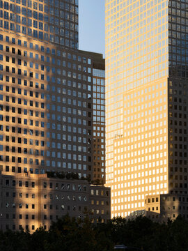 New York City, New York &ndash; October 3, 2026: Office towers with gridded window facades in late afternoon sunlight and shadow above trees at the World Trade Center, Lower Manhattan.