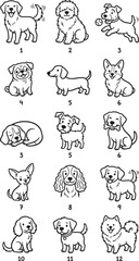 Obraz premium transparent background vector illustration, hand-drawn creative cozy set colorless outline cartoon icon