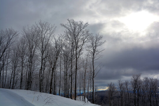 The Bromont and Shefford region, located in the heart of Quebec's magnificent Eastern Townships, transforms into a true snowy paradise every winter. Between gleaming mountain peaks, frosted forests 