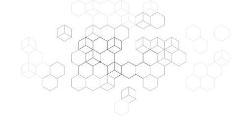 Fototapeta premium Stylish black and white geometric hexagon background with isometric cube cells.