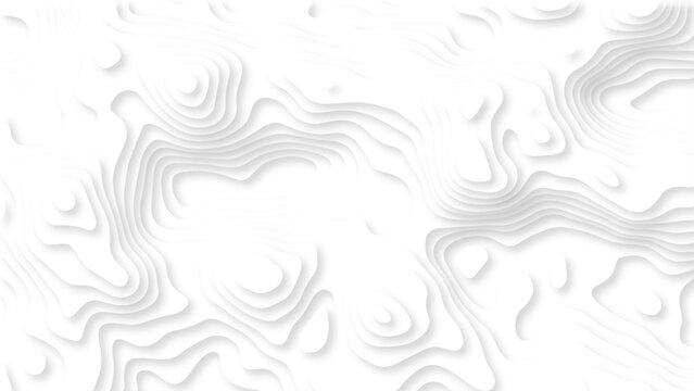 Minimal White Topographic Contour Background with Soft Gray Lines, Abstract Organic Shapes and Elegant 3D Relief Texture. White Abstract Topographic Map Background with Subtle Gray Contour Lines.