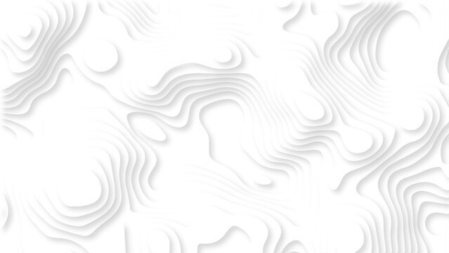 Minimal White Topographic Contour Background with Soft Gray Lines, Abstract Organic Shapes and Elegant 3D Relief Texture. White Abstract Topographic Map Background with Subtle Gray Contour Lines.