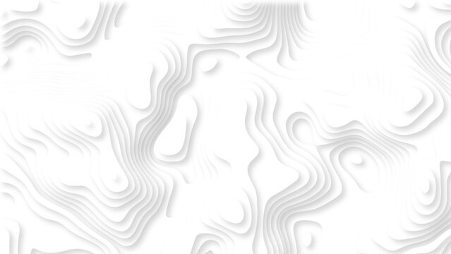 Minimal White Topographic Contour Background with Soft Gray Lines, Abstract Organic Shapes and Elegant 3D Relief Texture. White Abstract Topographic Map Background with Subtle Gray Contour Lines.