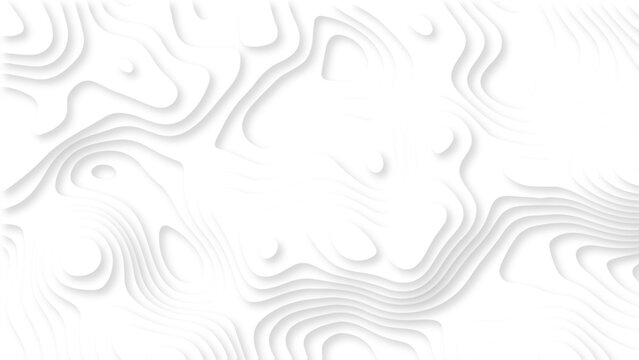 Minimal White Topographic Contour Background with Soft Gray Lines, Abstract Organic Shapes and Elegant 3D Relief Texture. White Abstract Topographic Map Background with Subtle Gray Contour Lines.