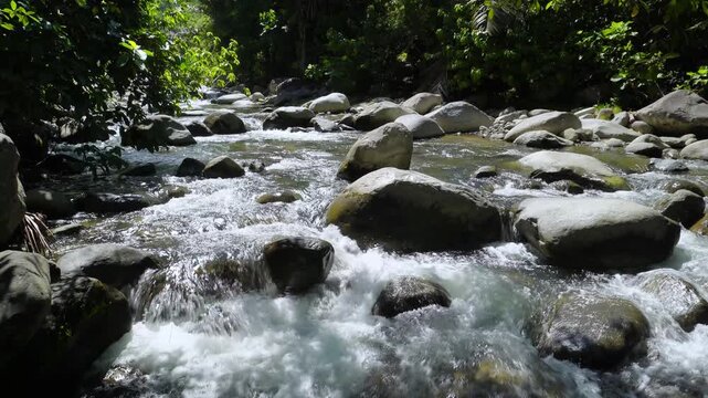Rocky River Rapids in Tropical Forest