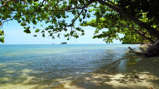 Shaded Tropical Beach with Calm Sea