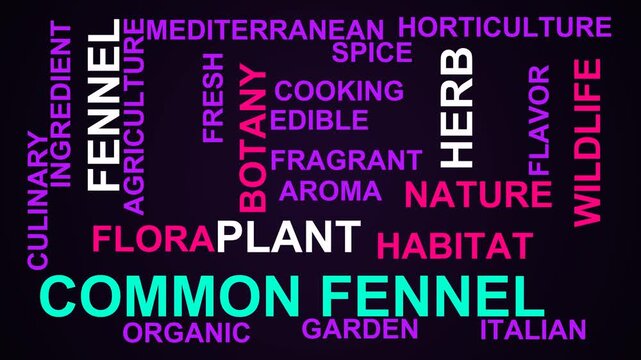 Common Fennel Word Cloud