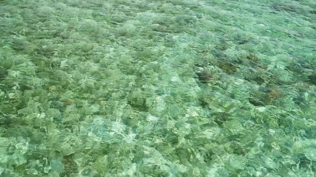 Crystal Clear Shallow Seawater Texture