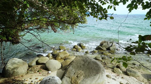 Rocky Tropical Shore Beneath Tree Canopy