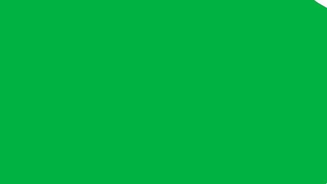 Bright green solid background with a subtle rounded top right corner. Modern abstract template for digital design and copy space.