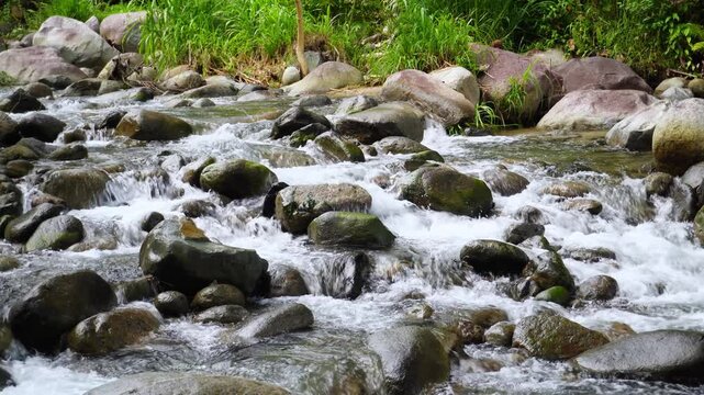 Shallow Rocky Stream with Whitewater